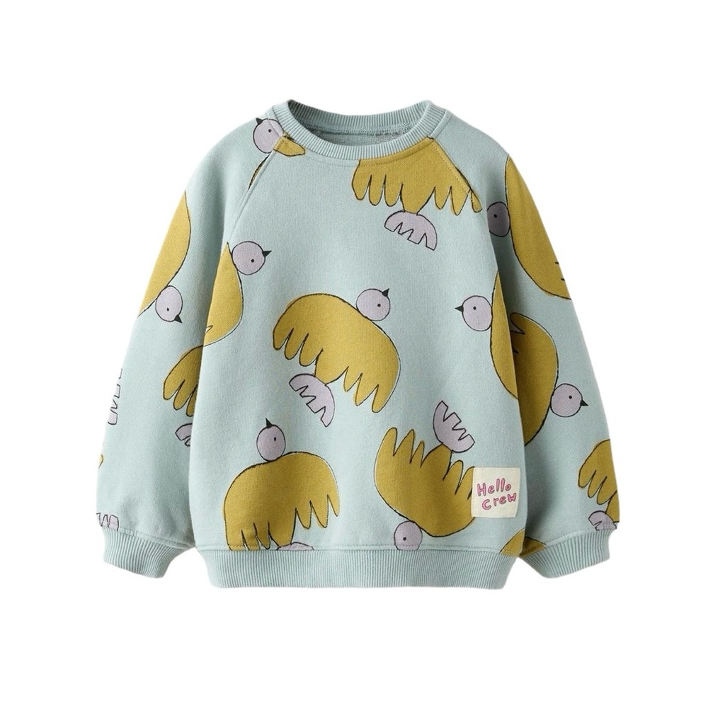Zara baby size 18-24m bird sweatshirt